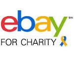 ebay for charity