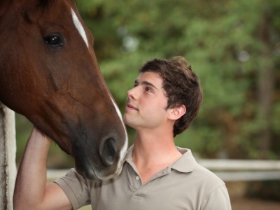 PTSD equine therapy