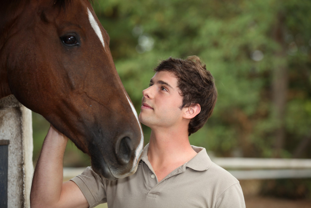 PTSD equine therapy