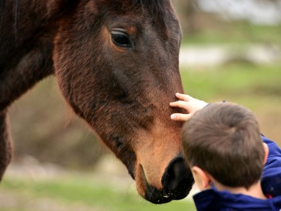 The Benefits of Equine Therapy for People with Autism