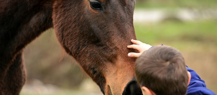 The Benefits of Equine Therapy for People with Autism