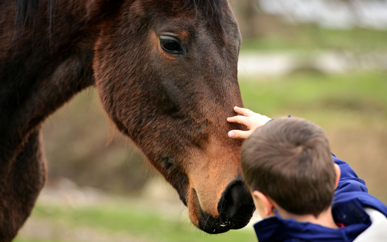 The Benefits of Equine Therapy for People with Autism