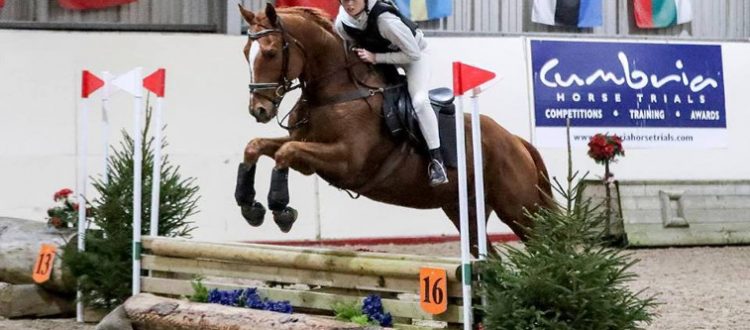 RRC Buddy showjumping