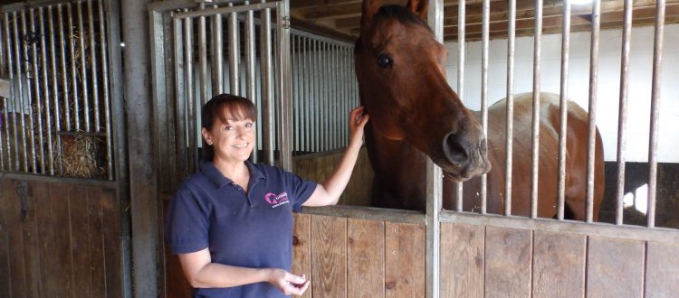 Switcharooney at the Racehorse Rescue Centre