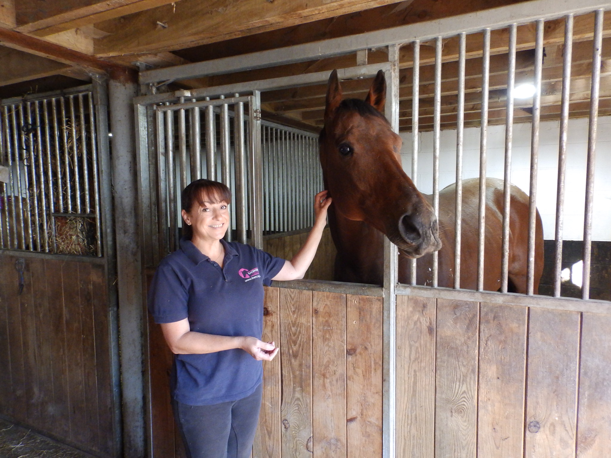 Switcharooney at the Racehorse Rescue Centre