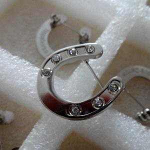 Lucky Horseshoe Brooch with 7 Crystals