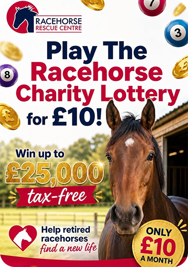 Play the Racehorse Charity Lottery