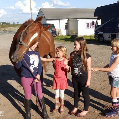 Young people meeting a rescued racehorse at Racehorse Rescue Centre