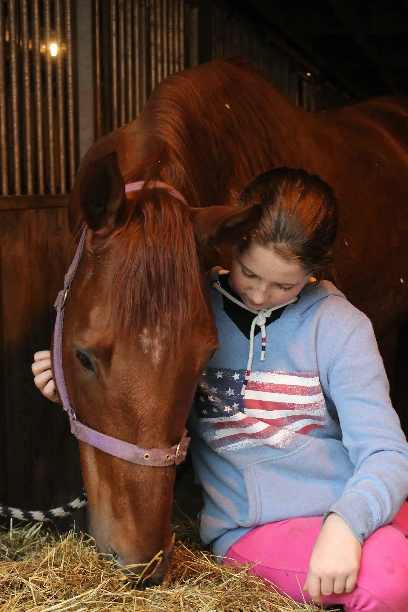 A young person spending quiet time with a rescued racehorse
